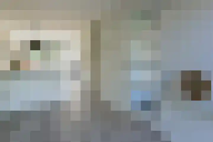 Wilgenroos 2 Kockengen thumbnail 13