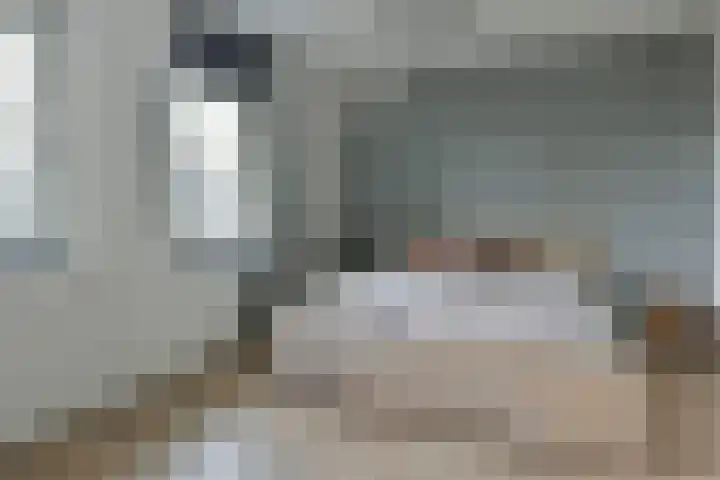 Wilgenroos 2 Kockengen thumbnail 14
