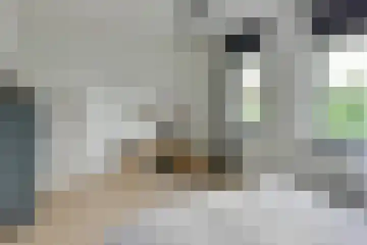 Wilgenroos 2 Kockengen thumbnail 15