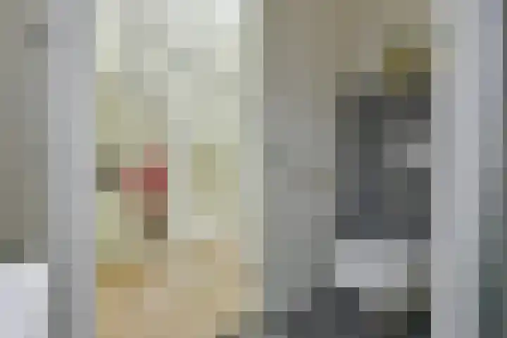 Wilgenroos 2 Kockengen thumbnail 18