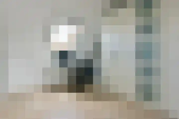 Wilgenroos 2 Kockengen thumbnail 22
