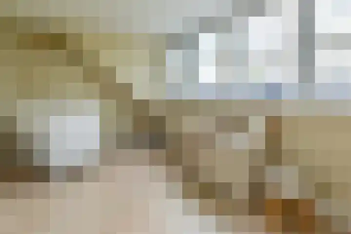 Wilgenroos 2 Kockengen thumbnail 23