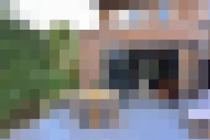 Wilgenroos 2 Kockengen thumbnail 24