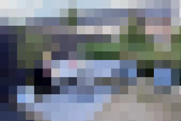 Wilgenroos 2 Kockengen thumbnail 27