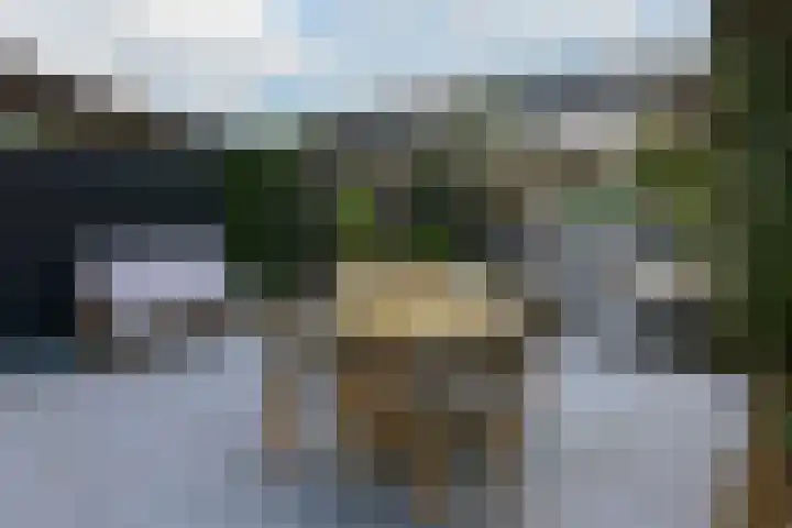 Wilgenroos 2 Kockengen thumbnail 29