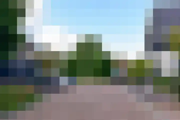Wilgenroos 2 Kockengen thumbnail 30