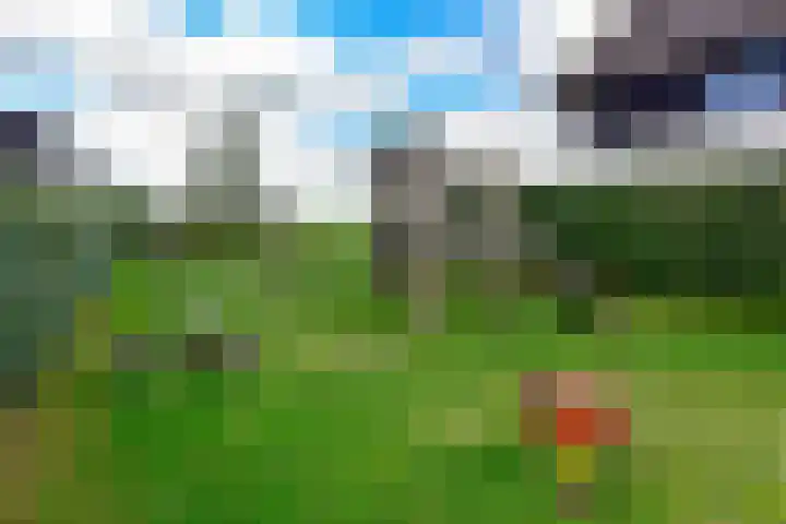 Wilgenroos 2 Kockengen thumbnail 31