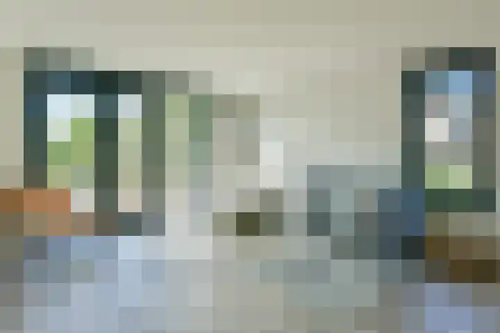 Wilgenroos 2 Kockengen thumbnail 6