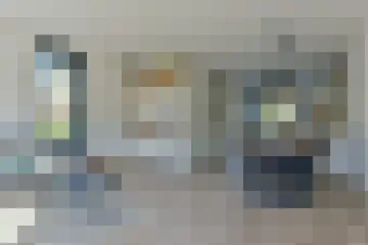 Wilgenroos 2 Kockengen thumbnail 9