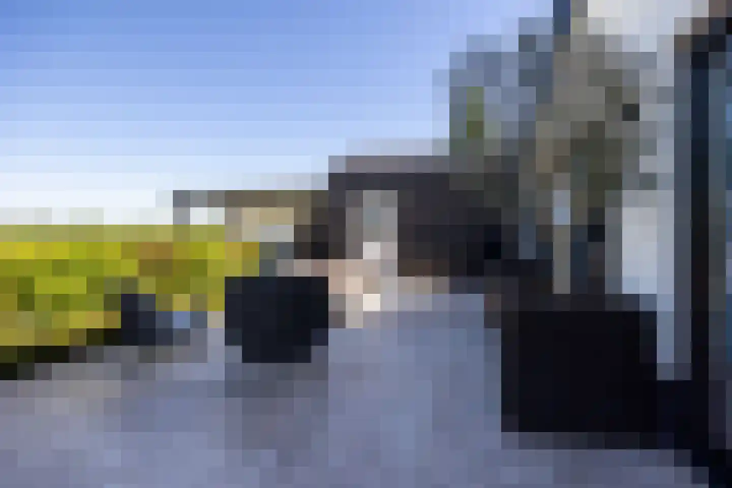 Wilgenroos 25 Kockengen thumbnail 38