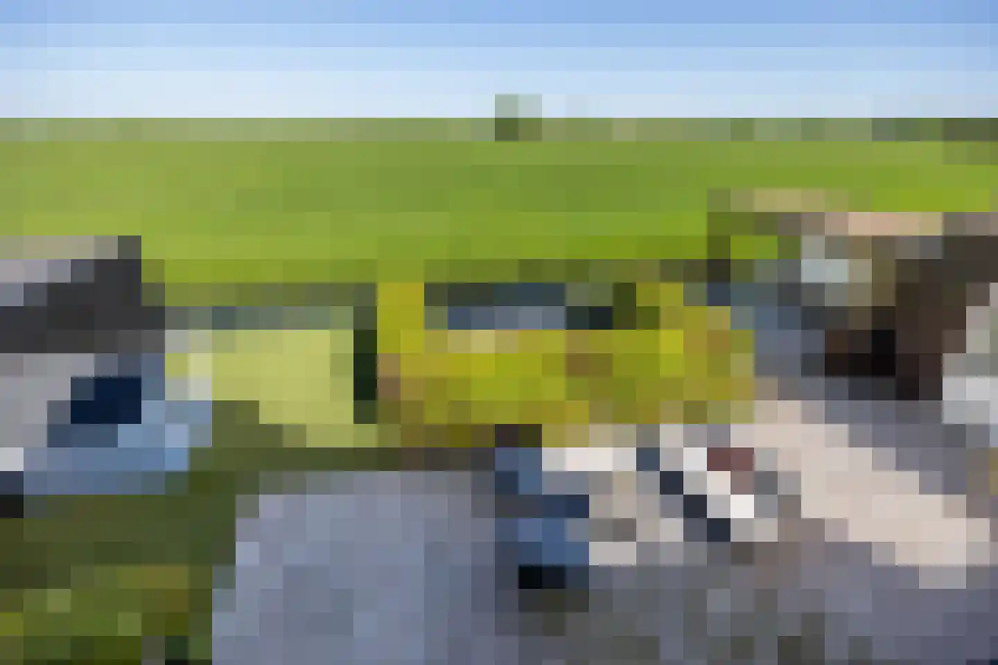 Wilgenroos 25 Kockengen thumbnail 41