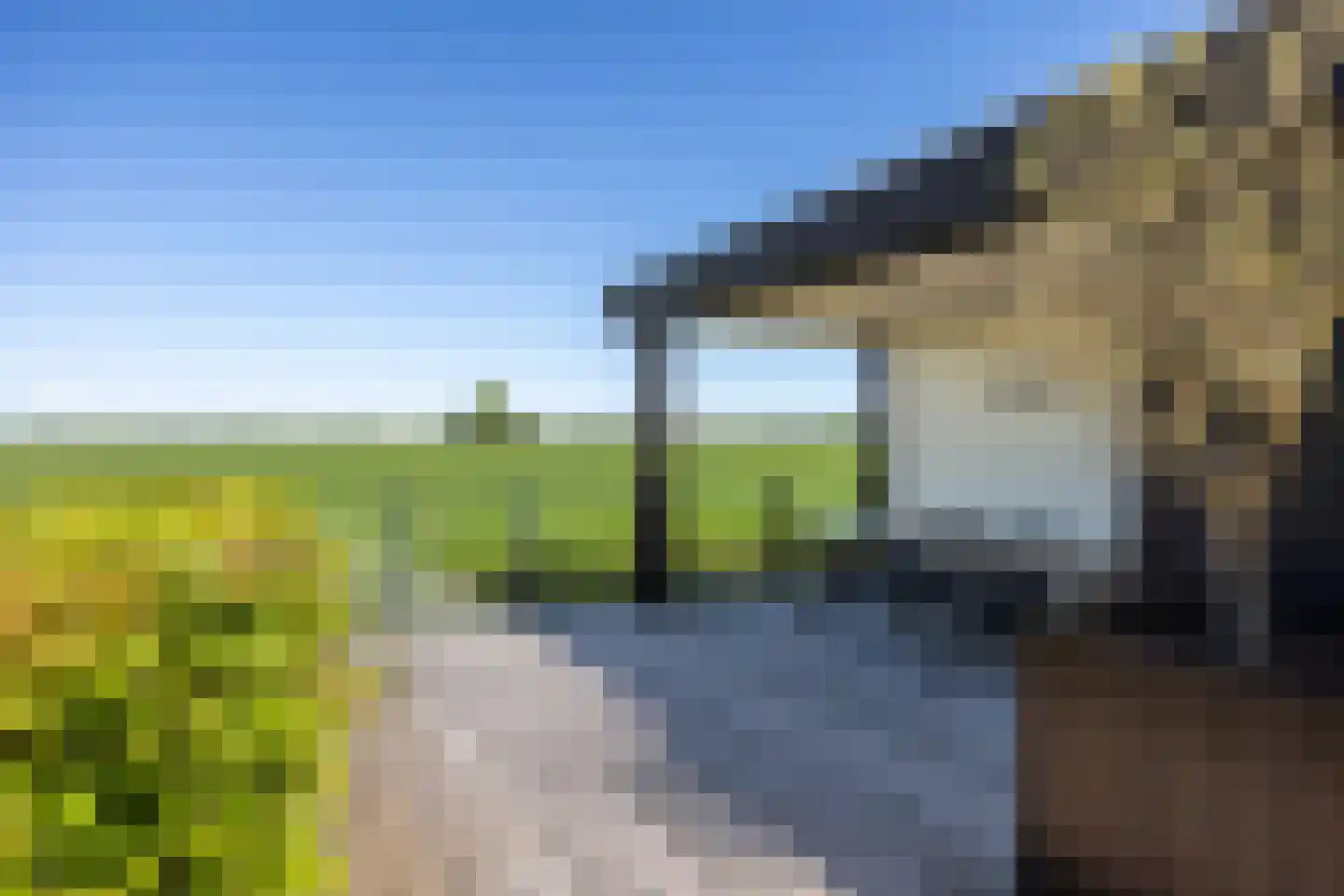 Wilgenroos 25 Kockengen thumbnail 42