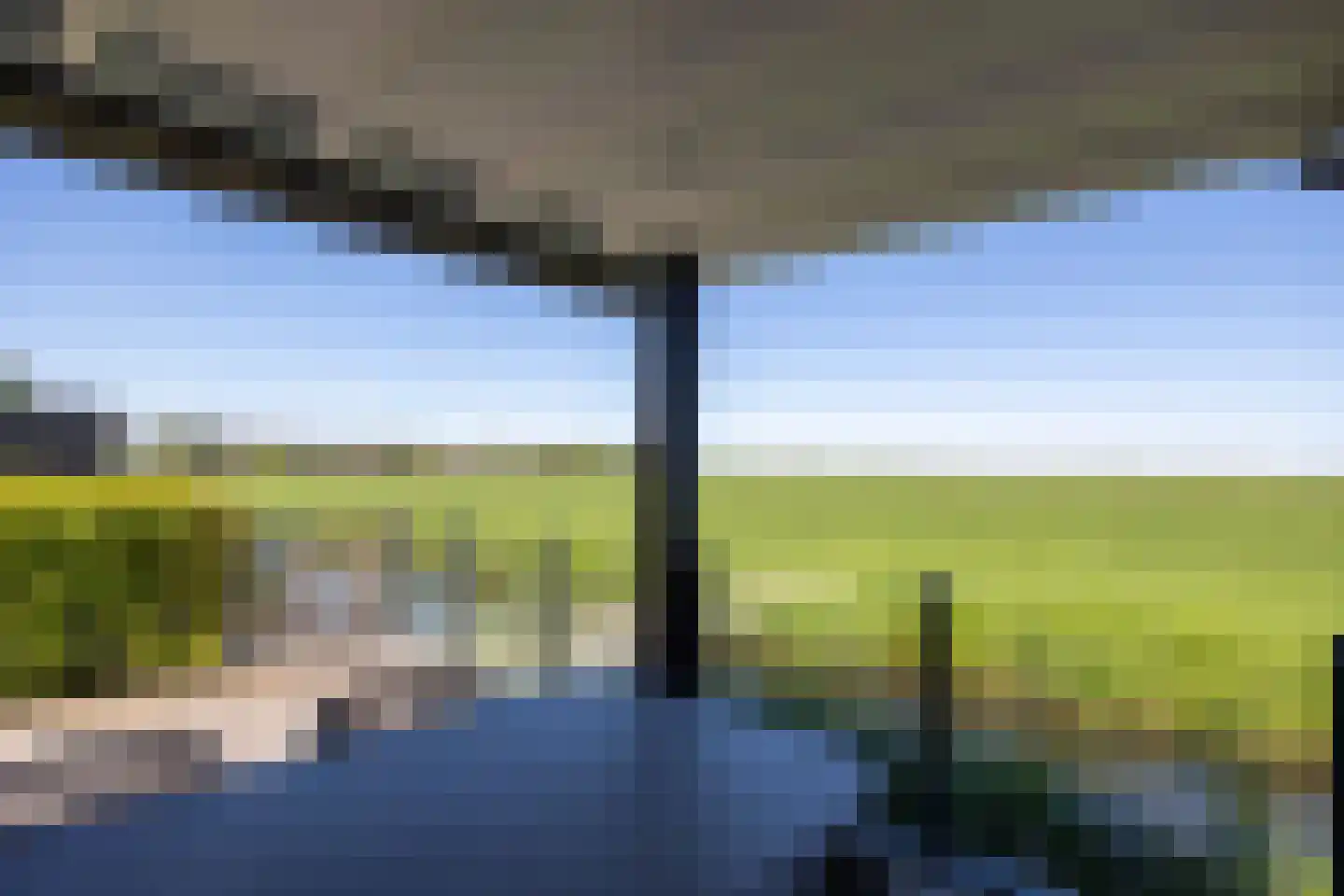 Wilgenroos 25 Kockengen thumbnail 43