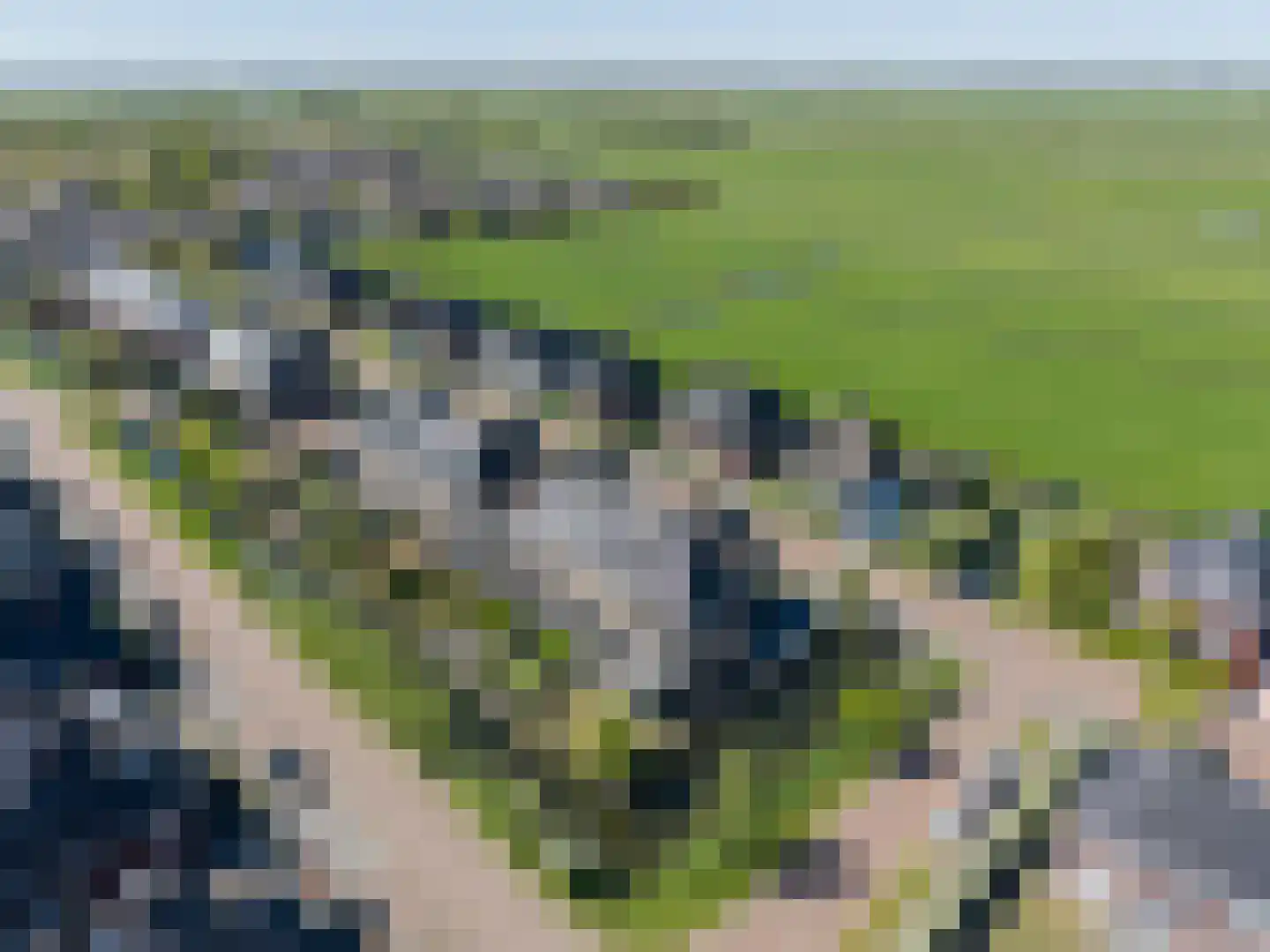 Wilgenroos 25 Kockengen thumbnail 46
