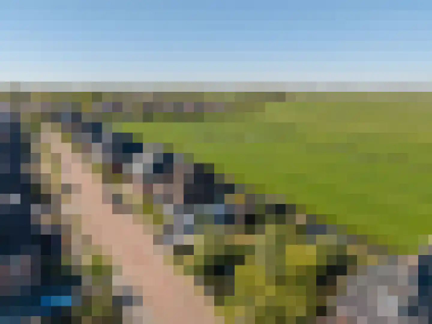 Wilgenroos 25 Kockengen thumbnail 47