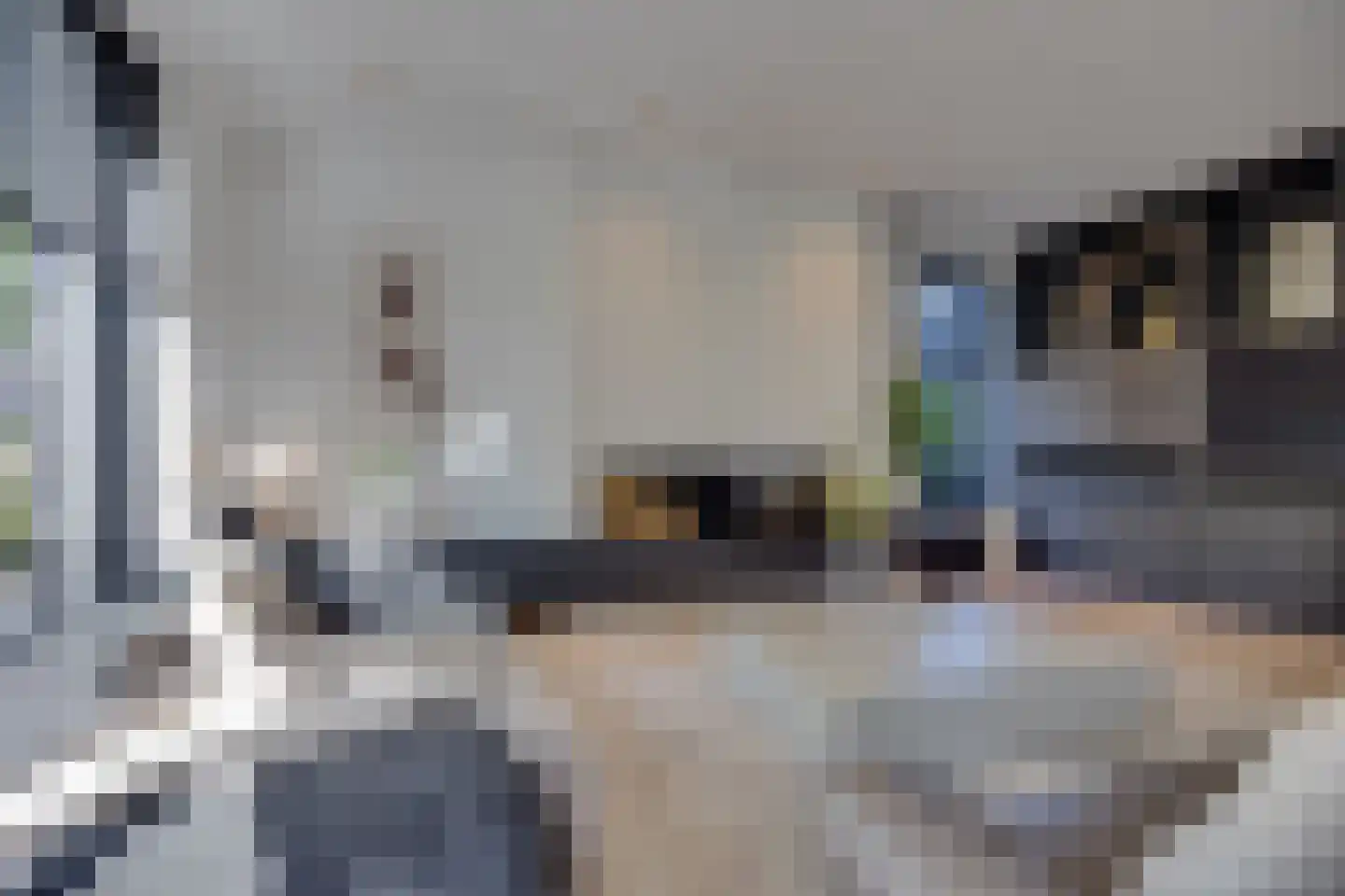 Wilgenroos 25 Kockengen thumbnail 5
