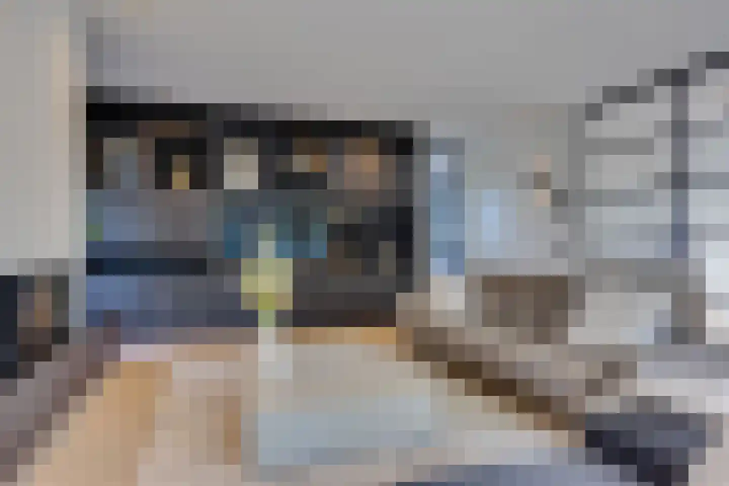 Wilgenroos 25 Kockengen thumbnail 6
