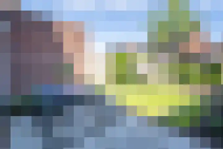 Wilgenroos 29 Hazerswoude-Dorp thumbnail 12