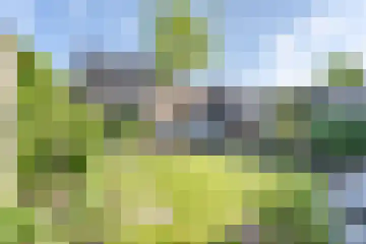 Wilgenroos 29 Hazerswoude-Dorp thumbnail 13