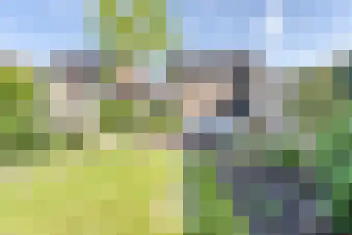 Wilgenroos 29 Hazerswoude-Dorp thumbnail 14