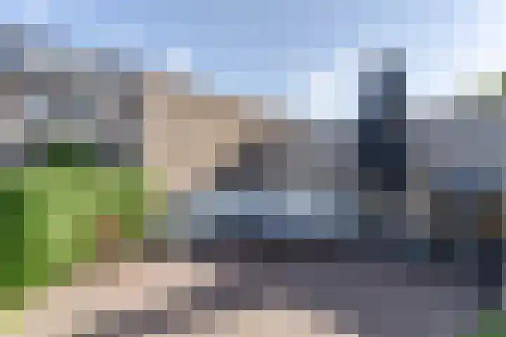 Wilgenroos 29 Hazerswoude-Dorp thumbnail 15