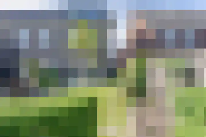 Wilgenroos 29 Hazerswoude-Dorp thumbnail 16