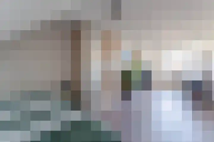 Wilgenroos 29 Hazerswoude-Dorp thumbnail 30
