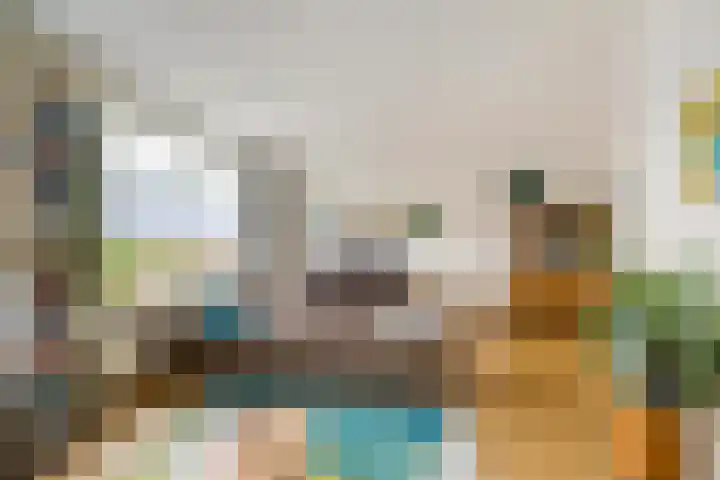 Wilgenroos 40 Gieten thumbnail 15