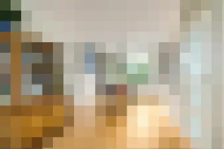 Wilgenroos 40 Gieten thumbnail 17