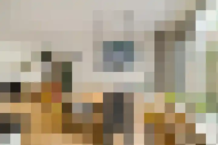 Wilgenroos 40 Gieten thumbnail 19