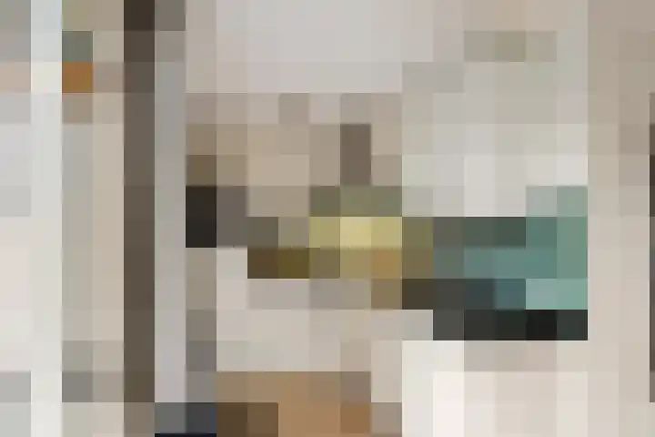 Wilgenroos 40 Gieten thumbnail 22