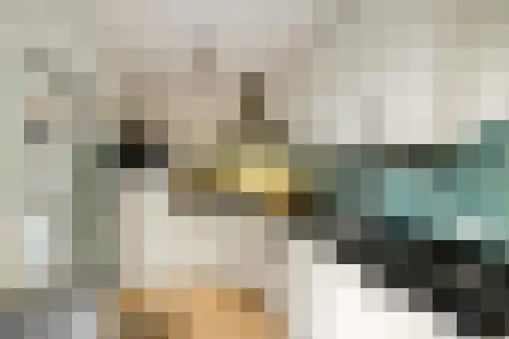 Wilgenroos 40 Gieten thumbnail 23