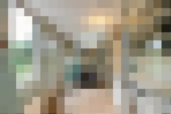 Wilgenroos 40 Gieten thumbnail 25