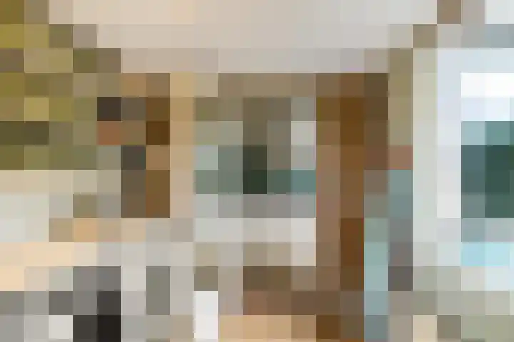Wilgenroos 40 Gieten thumbnail 26