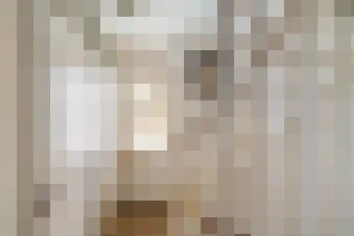 Wilgenroos 40 Gieten thumbnail 28