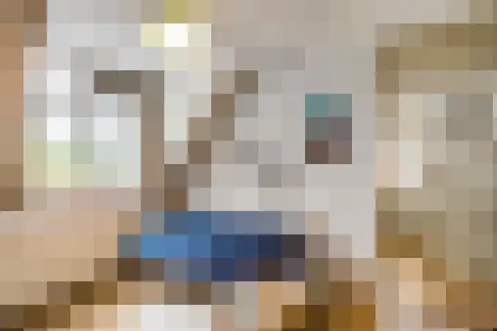 Wilgenroos 40 Gieten thumbnail 30