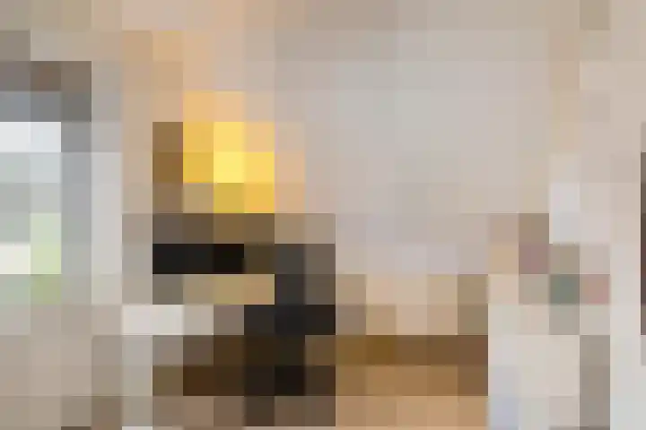 Wilgenroos 40 Gieten thumbnail 34