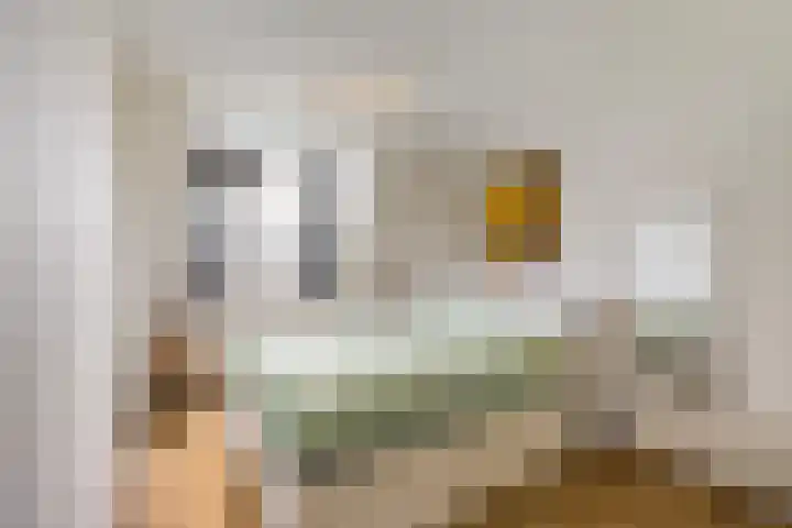 Wilgenroos 40 Gieten thumbnail 4