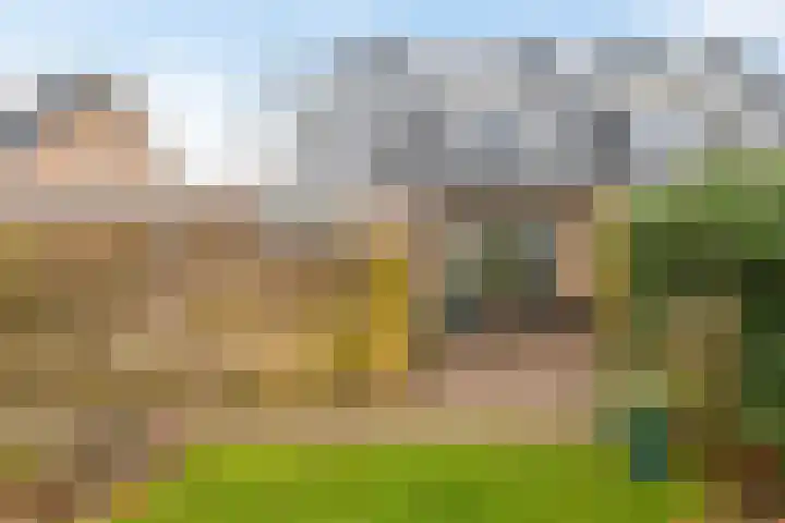 Wilgenroos 40 Gieten thumbnail 46