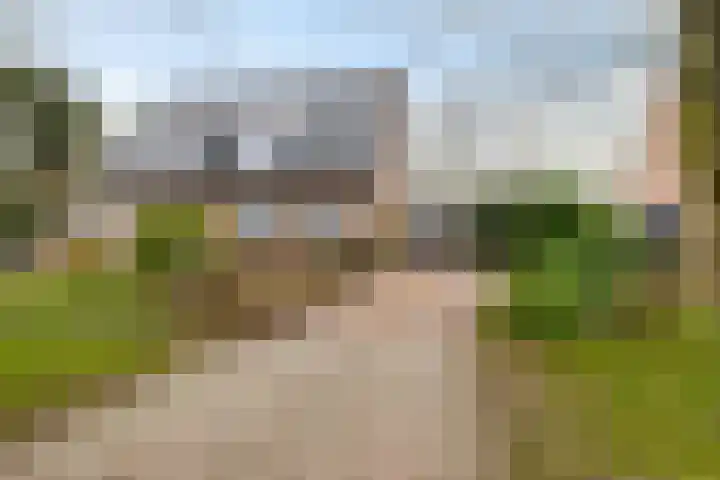 Wilgenroos 40 Gieten thumbnail 51