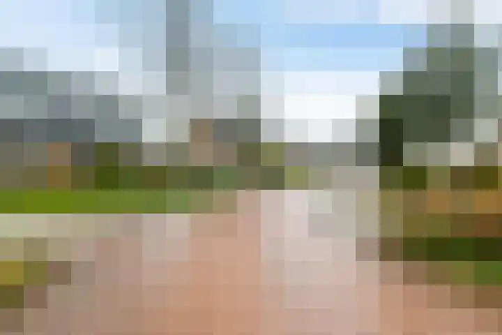 Wilgenroos 40 Gieten thumbnail 52