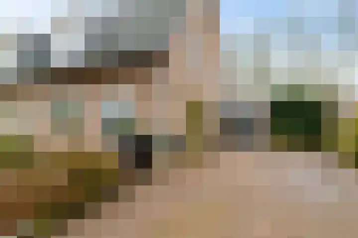 Wilgenroos 40 Gieten thumbnail 8