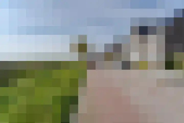 Wilgenroos 49 Hazerswoude-Dorp thumbnail 4