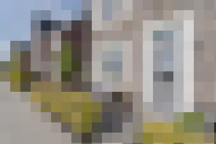 Wilgenroos 49 Hazerswoude-Dorp thumbnail 5