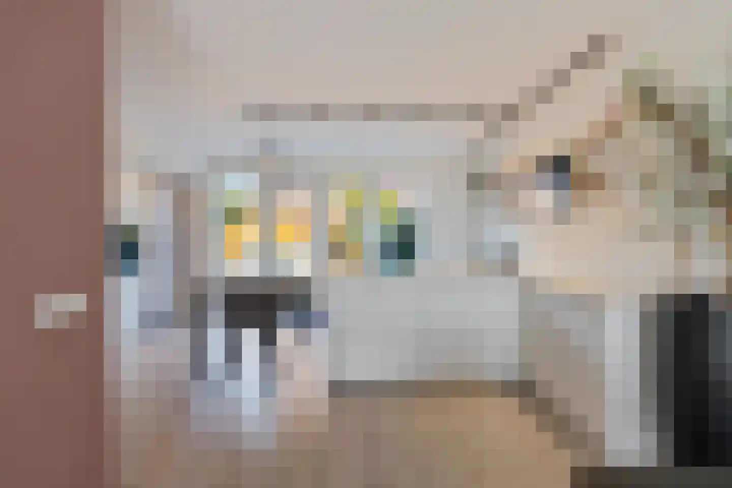 Wilgenroos 9 Hazerswoude-Dorp thumbnail 37