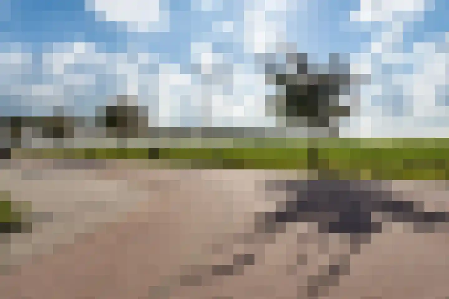 Wilgenroos 9 Hazerswoude-Dorp thumbnail 6