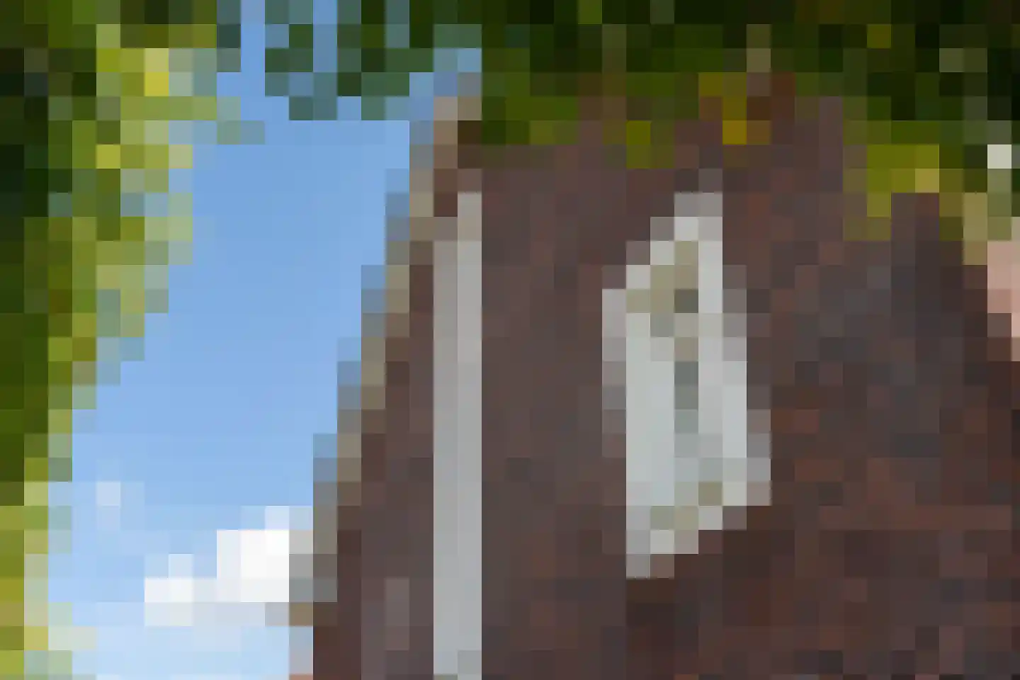 Wilgenroos 9 Hazerswoude-Dorp thumbnail 7