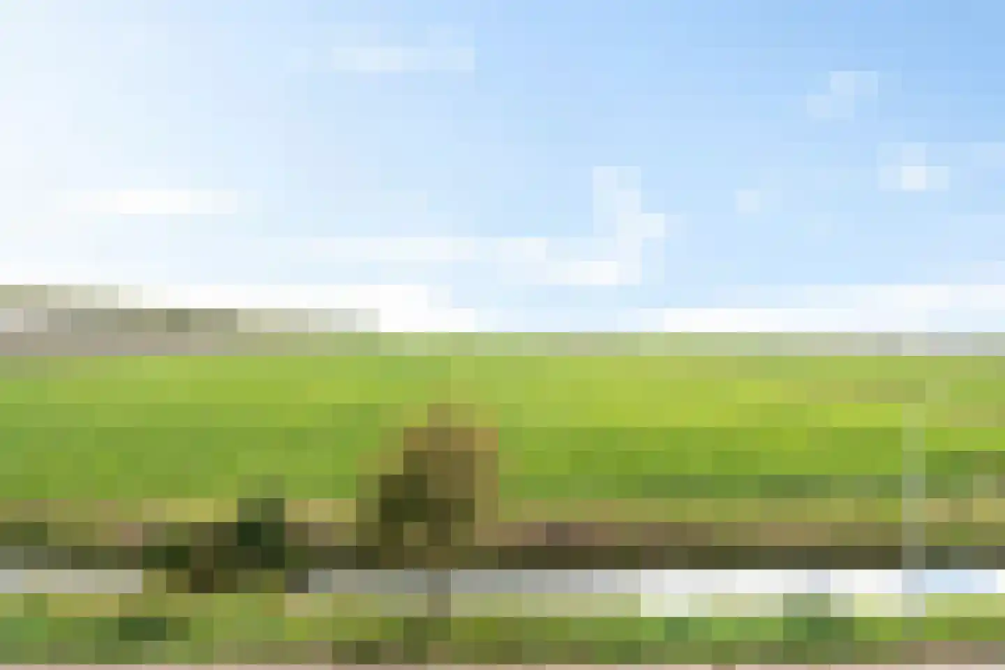 Wilgenroos 9 Hazerswoude-Dorp thumbnail 70