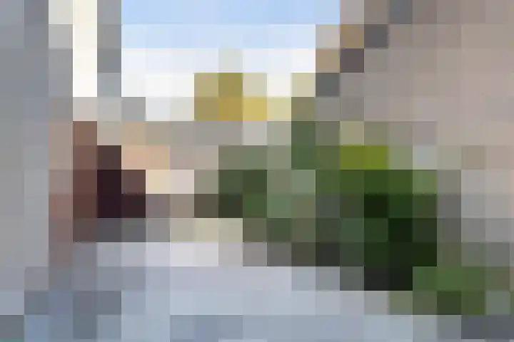 Wilgenroosje 1 Leeuwarden thumbnail 18