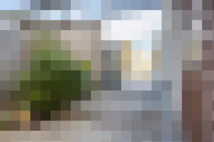 Wilgenroosje 1 Leeuwarden thumbnail 19